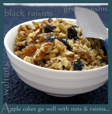 Dorothy Mae Brown's Apple Spice Cake 23 2009 03 18+apple+spice+cake3