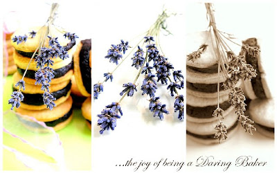 MALLOWS ANYONE? It's the DARING BAKER time of the month! 48 db,lime+cake,pasta+chhoti 1