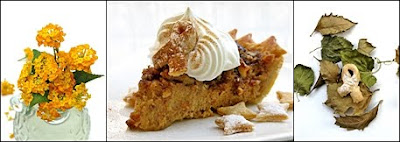 PRALINE PUMPKIN PIE ... FALLING FOR DESSERT! 33 pie+slice
