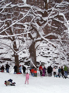 Photo of sledders in Riverside Park in New York City