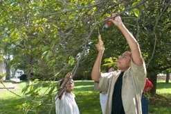 Photo of students pruning trees