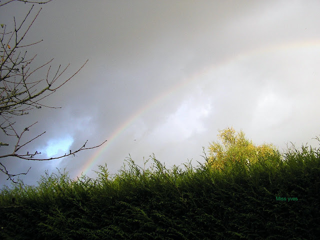 photograff-paysage-d-automne-avec-arc-en-ciel