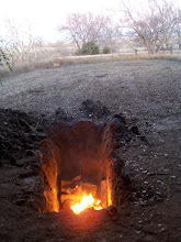 Cooking a Whole Hog Underground