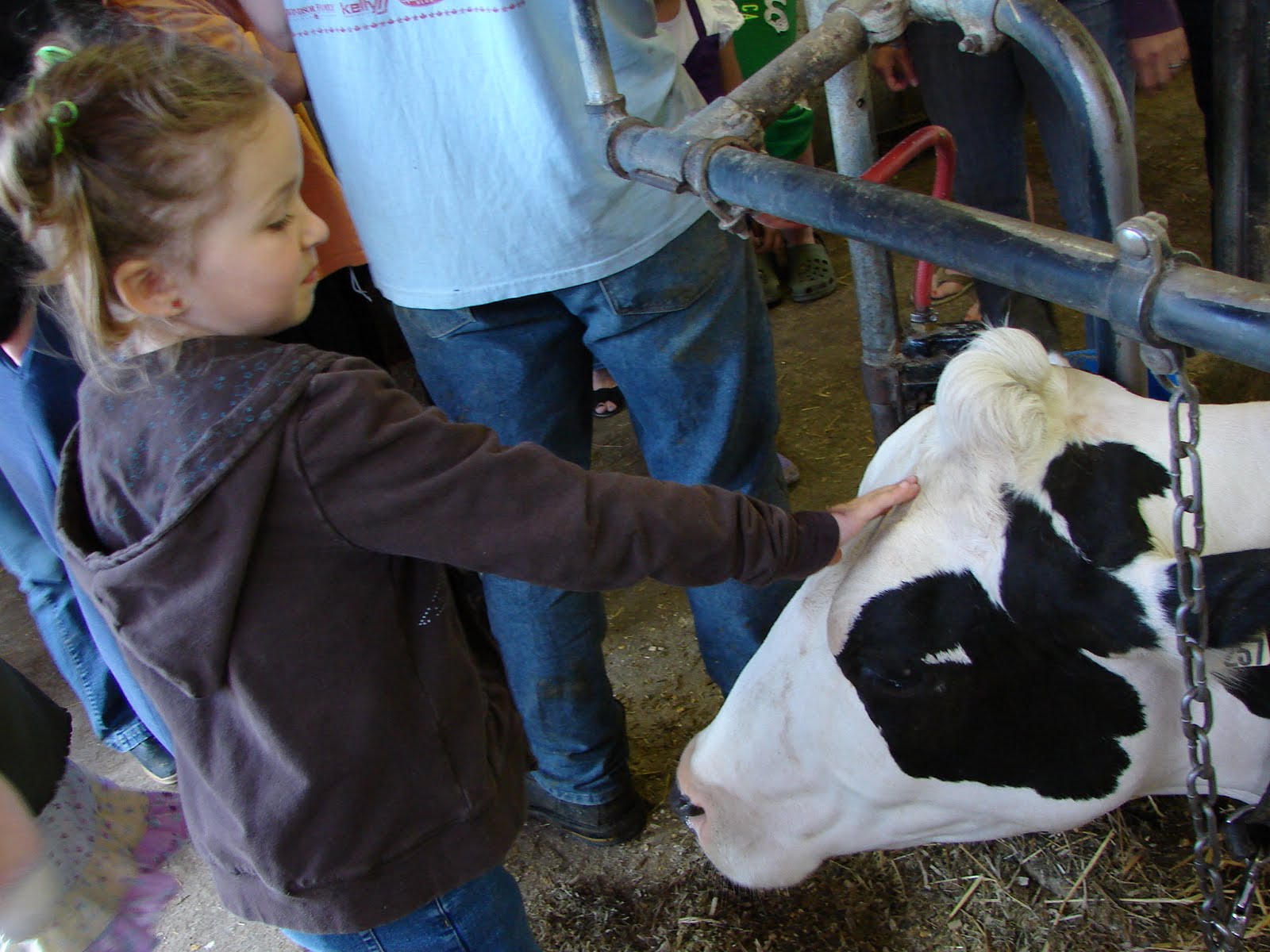 Canadian Home Learning Field Trip Dairy Farm