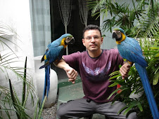 Joaquim Filho com as araras canidé vitor e vitória, mascotes da loja.