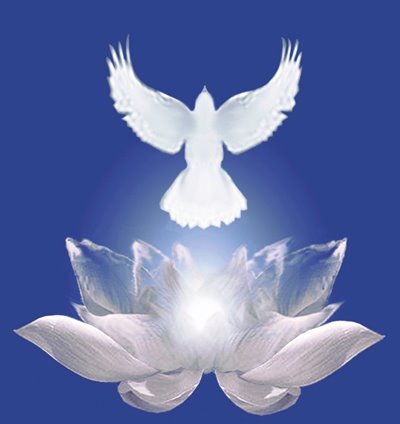 Soul Coach ChristinA: Activating the Christ Consciousness Grid