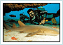 [noronha_09.gif]