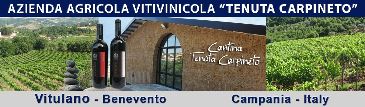 Azienda Vinicola Tenuta Carpineto