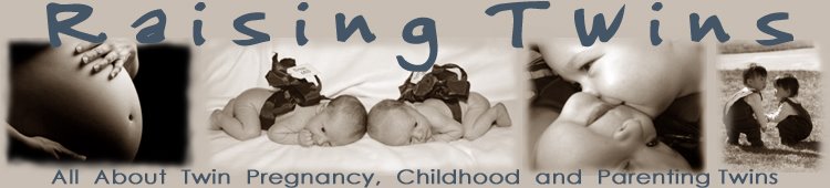 Raising Twins The Blog