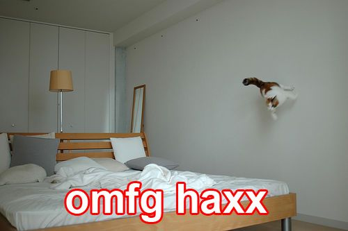OMFG HAXX!!!!!111