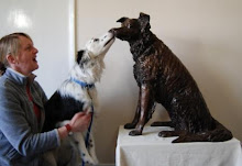 Collie dog greets Ruswarp the Collie  Bronze Sculpture