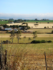 My Country