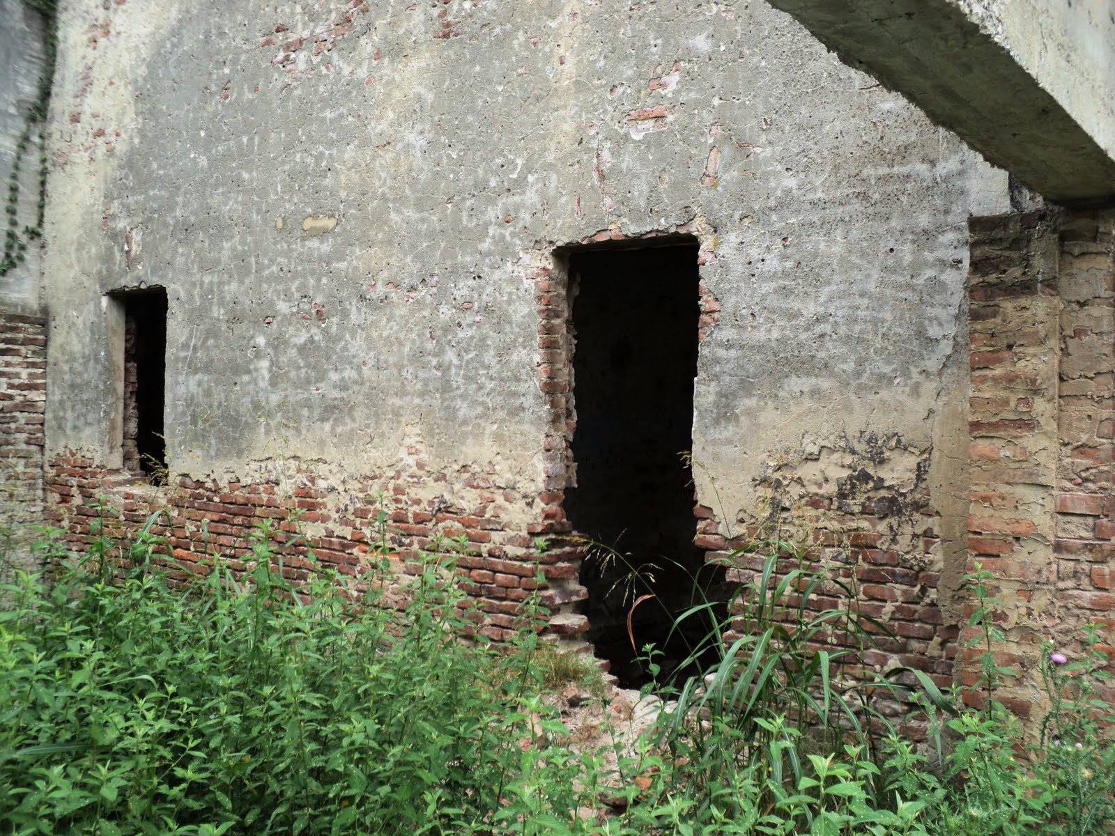 Aliens Pictures Media: Primer Casa de Material