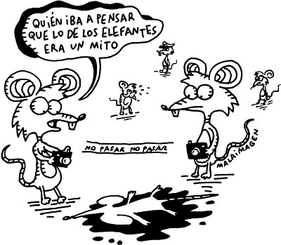 mito.jpg