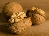 When do walnut trees drop their nuts, Sandwich MA