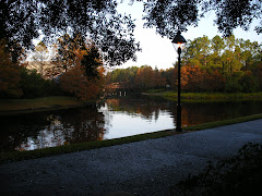 The Sassagoula River