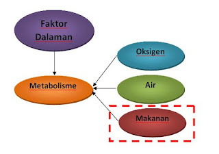 Dunia Keemasan Anda.