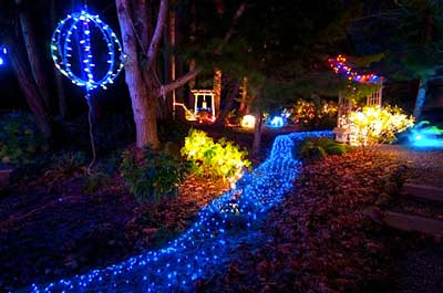 2010 Japanese Garden Lights | MayneNews