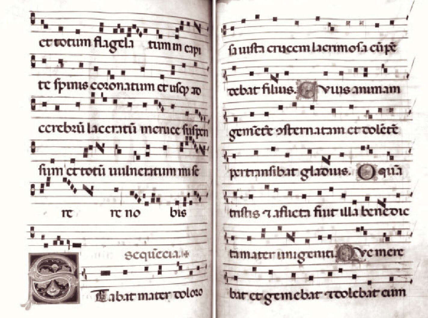 Mater перевод с латинского. альма матер фразеологизм. Mater перевод с латинского. Alma mater фразеологизм. Mater перевод с латинского.