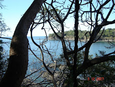 Beach in Costa Rica
