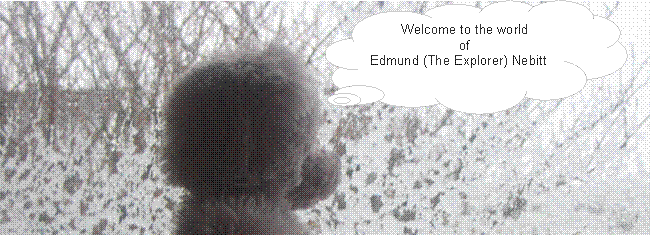 Edmund (the explorer) Nesbitt