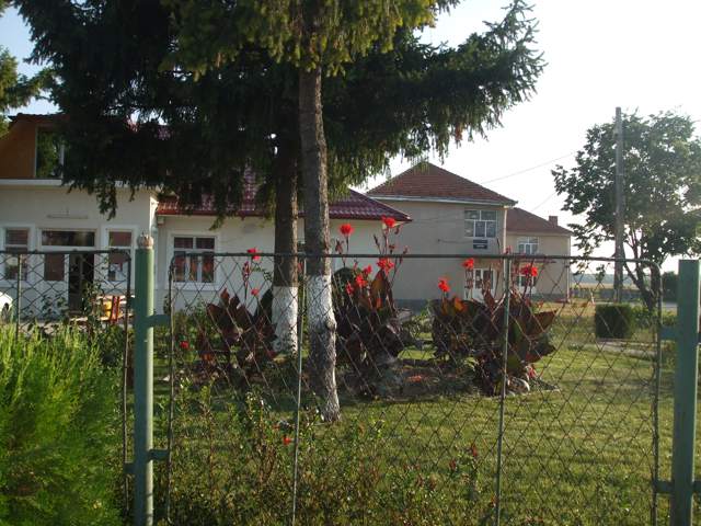 Primaria si scoala din comuna Rogova
