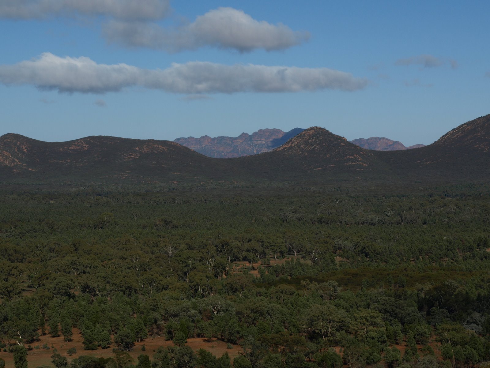 On The Road Wilpena Pound