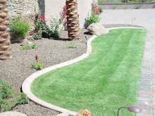 HOME AND APARTMENT DESIGNS: Concrete Garden Edging-Benefits and Options