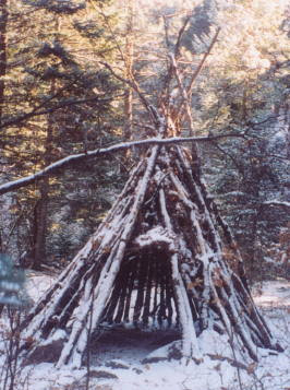 Camper's shelter in the Wet Mountains