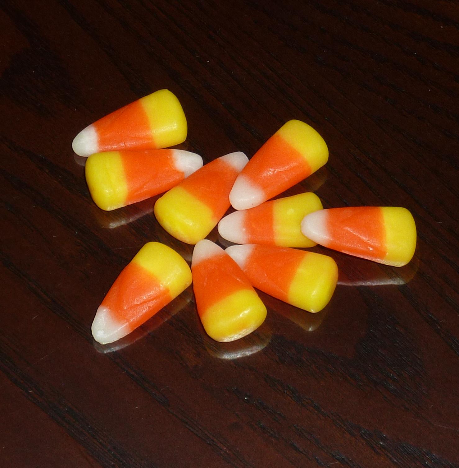 Donna�s Daydreams and Deliberations 09.2010