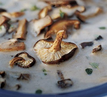 [wild+mushroom+soup+pic.jpg]