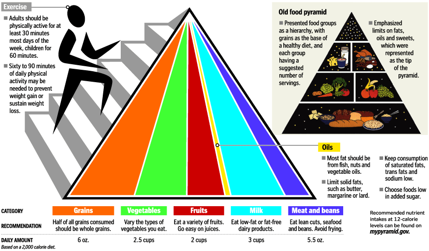 [food_pyramid+1.gif]