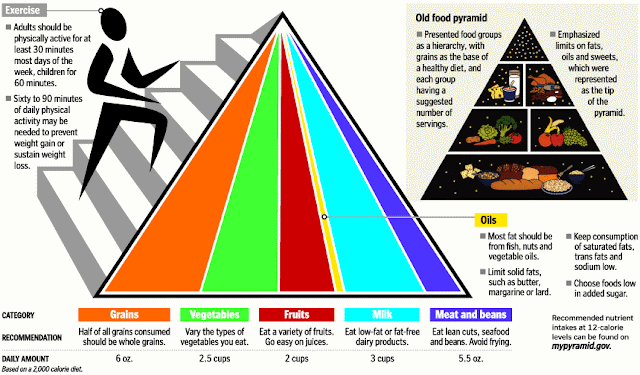 bonddustbacphi: food chain pyramid worksheet