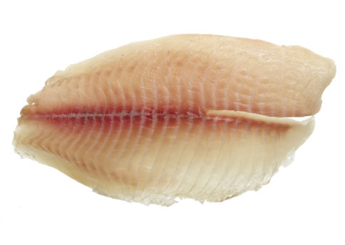 [tilapia_filet.jpg]
