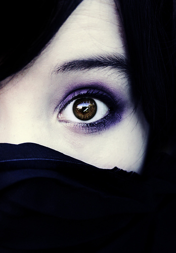 [845133807_d7841bbb97.jpg]