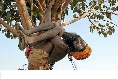 Funny+Picture+-+Everyone+Should+do+Yoga.jpeg