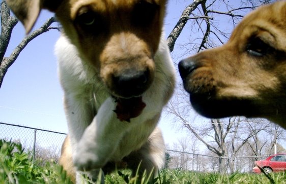 Sam & Tony ready for their closeup!