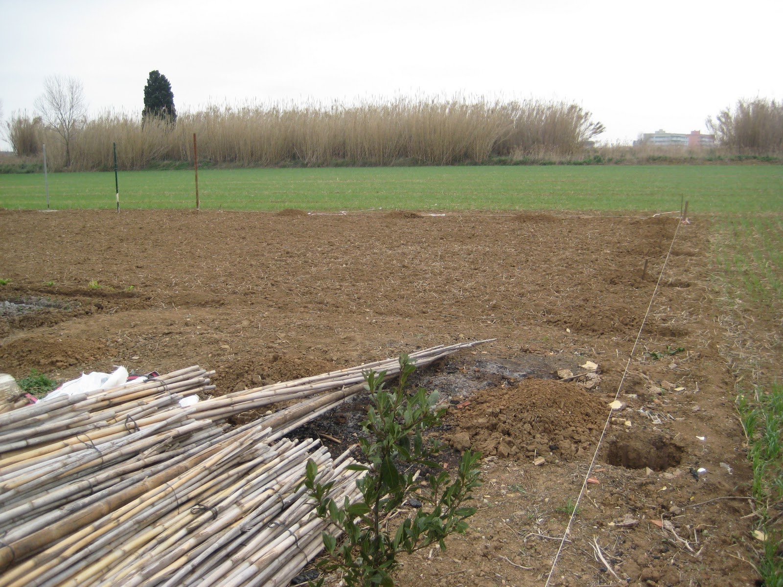 Los Reverdes: NUESTROS MANUALES