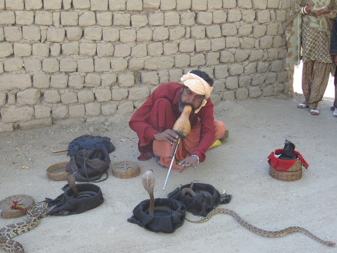 Snake Charmer in Leh