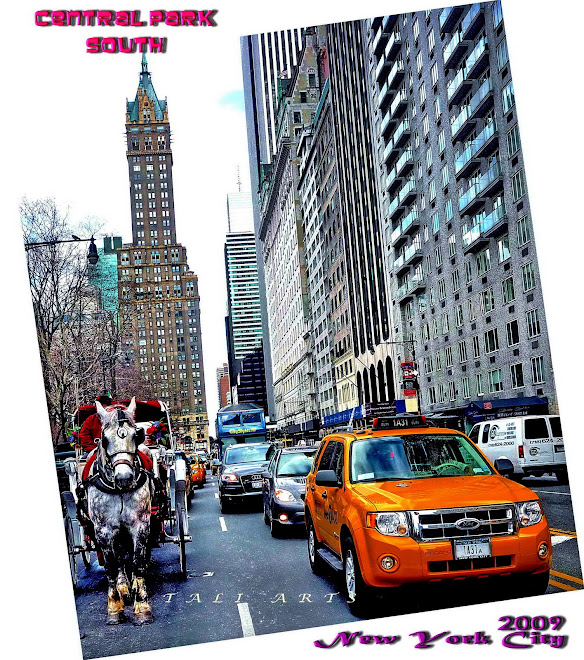 The Carriage and the Taxi