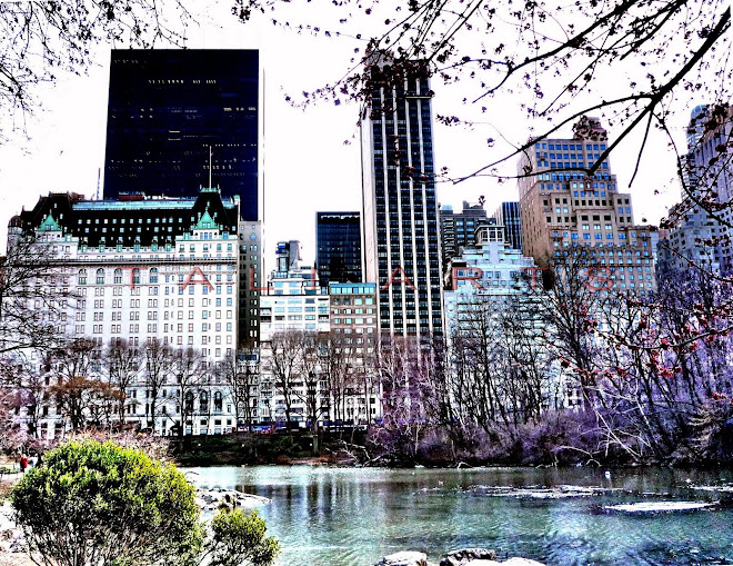 View of Plaza Hotel from Central Park