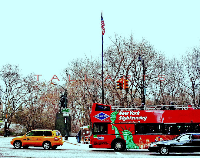 NYC Tour Bus - Central Park