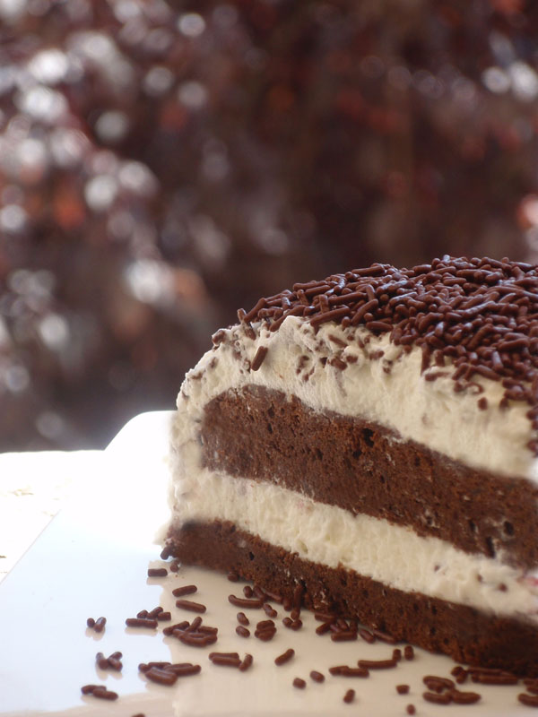 [tarta+chocolate2+copia2.jpg]