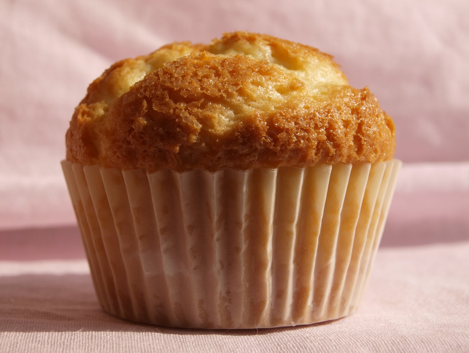 [magdalenas+de+aceite+de+oliva.JPG]