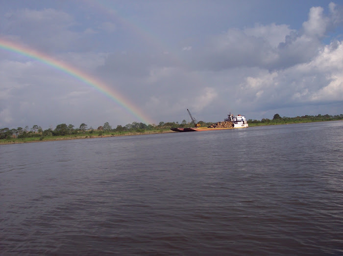 Trip Down the Amazon