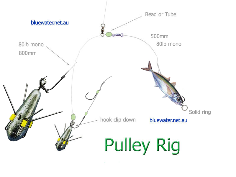 5 Best Surf Fishing Rigs Useful Guides Tips And How Tos
