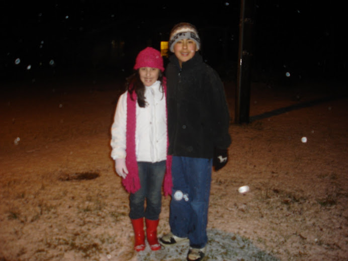 Nieve en Invierno  2008 Raleigh