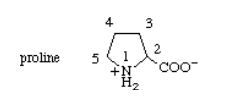 Medicine Newbie: Amino Acids - special amino acids