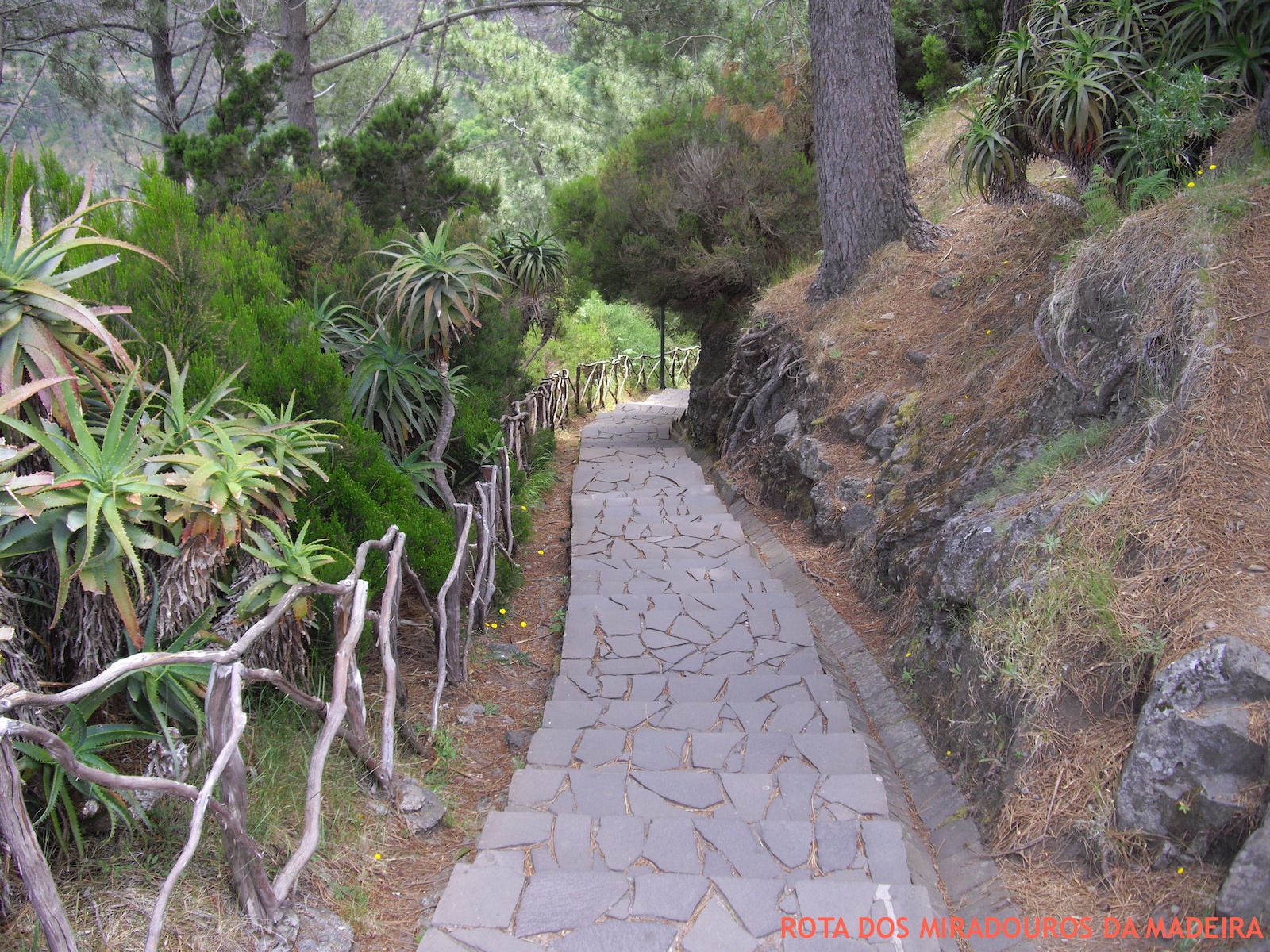 Rota dos Miradouros da Madeira Miradouro