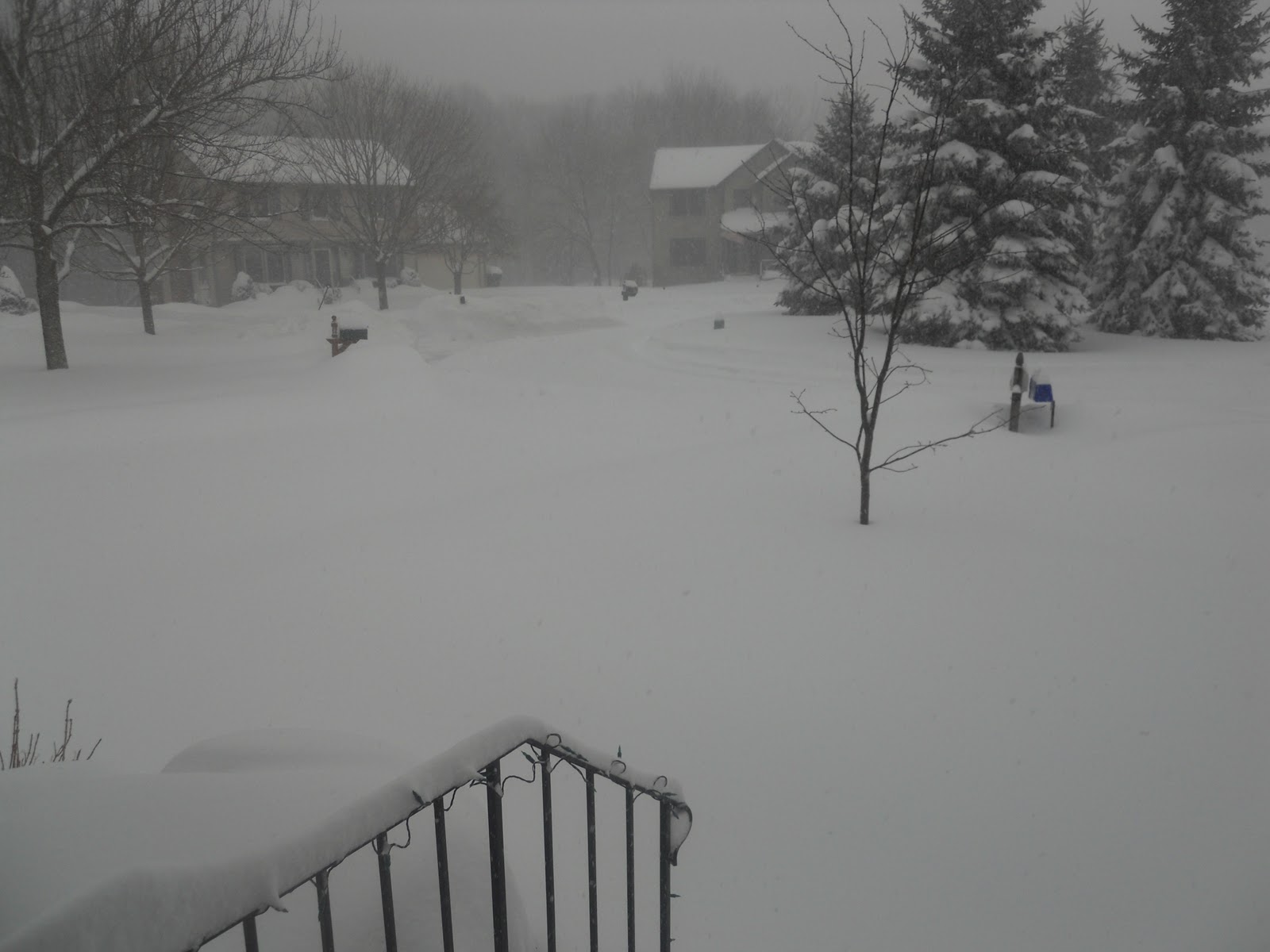 A Southern Girl in Connecticut Stories of cooking, home owning and